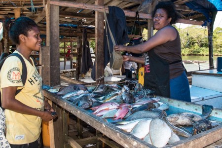 Fish section of the market