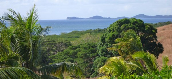 View from Palmlea Farm Lodge