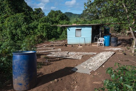 Fijian home with copra drying in the yard