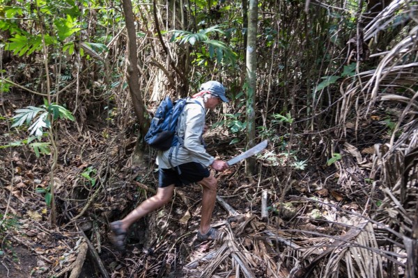 On the path to the other side of Rabi Island.