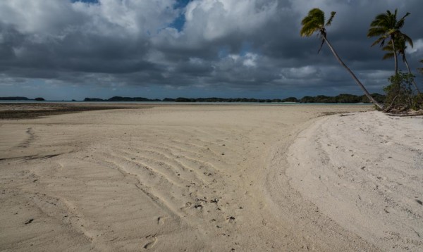 Sand spit at low tide