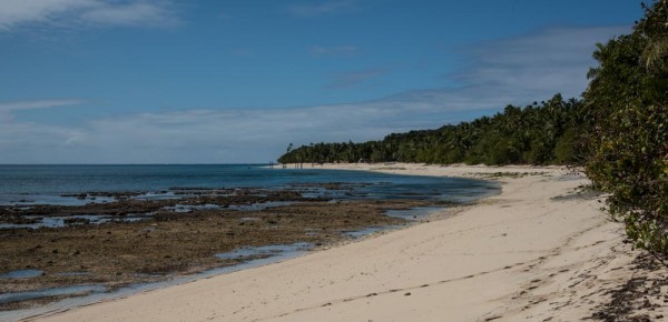 Driven Island beach