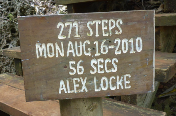 Monty did not take up the challenge as many of the stairs had been crushed by trees that fell during the cyclone. 